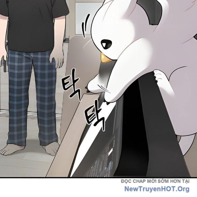 Chào Nhé, Griffin Mắt Tròn! Chap 5 - Next Chap 6