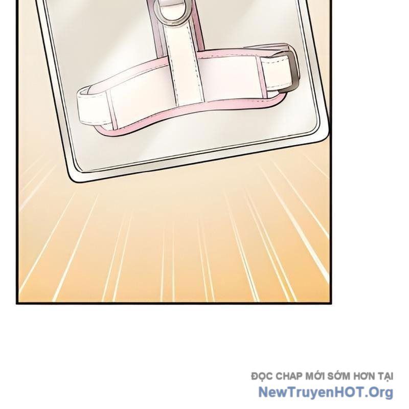 Chào Nhé, Griffin Mắt Tròn! Chap 5 - Next Chap 6