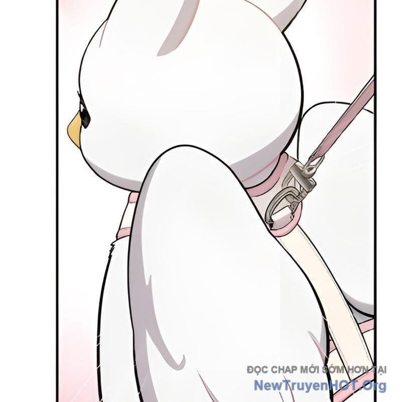 Chào Nhé, Griffin Mắt Tròn! Chap 5 - Next Chap 6