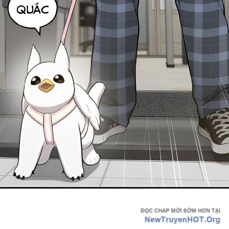 Chào Nhé, Griffin Mắt Tròn! Chap 5 - Next Chap 6