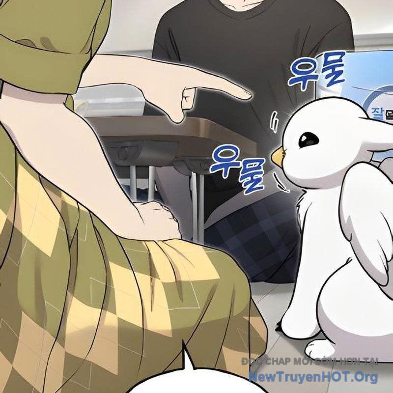 Chào Nhé, Griffin Mắt Tròn! Chap 5 - Next Chap 6