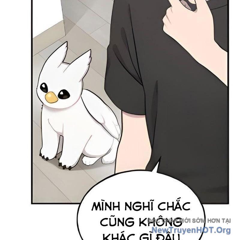 Chào Nhé, Griffin Mắt Tròn! Chap 5 - Next Chap 6