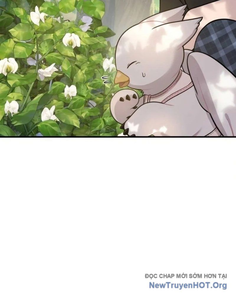 Chào Nhé, Griffin Mắt Tròn! Chap 6 - Next Chap 7