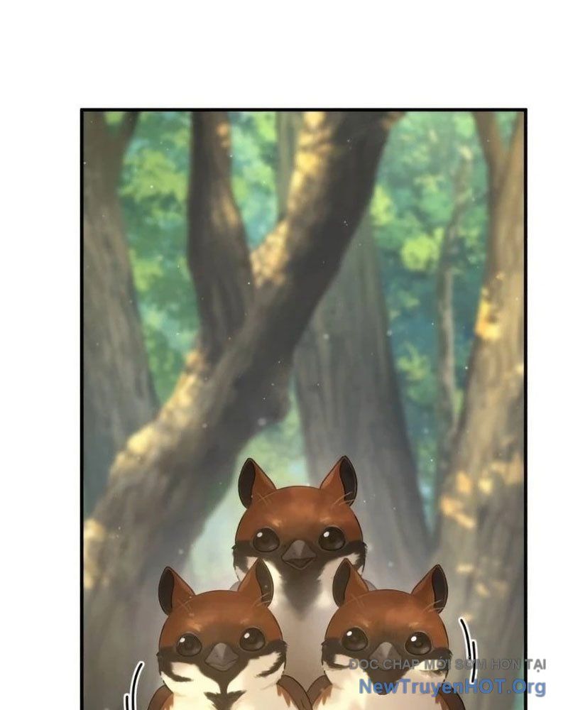 Chào Nhé, Griffin Mắt Tròn! Chap 6 - Next Chap 7