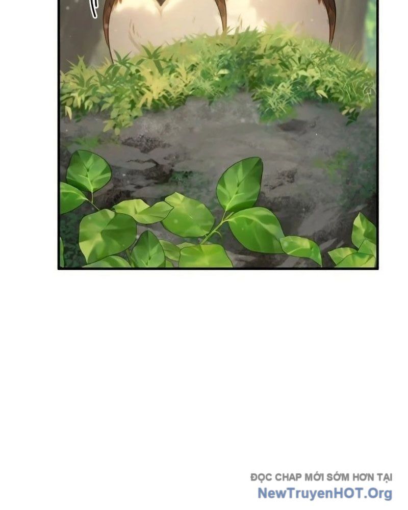 Chào Nhé, Griffin Mắt Tròn! Chap 6 - Next Chap 7