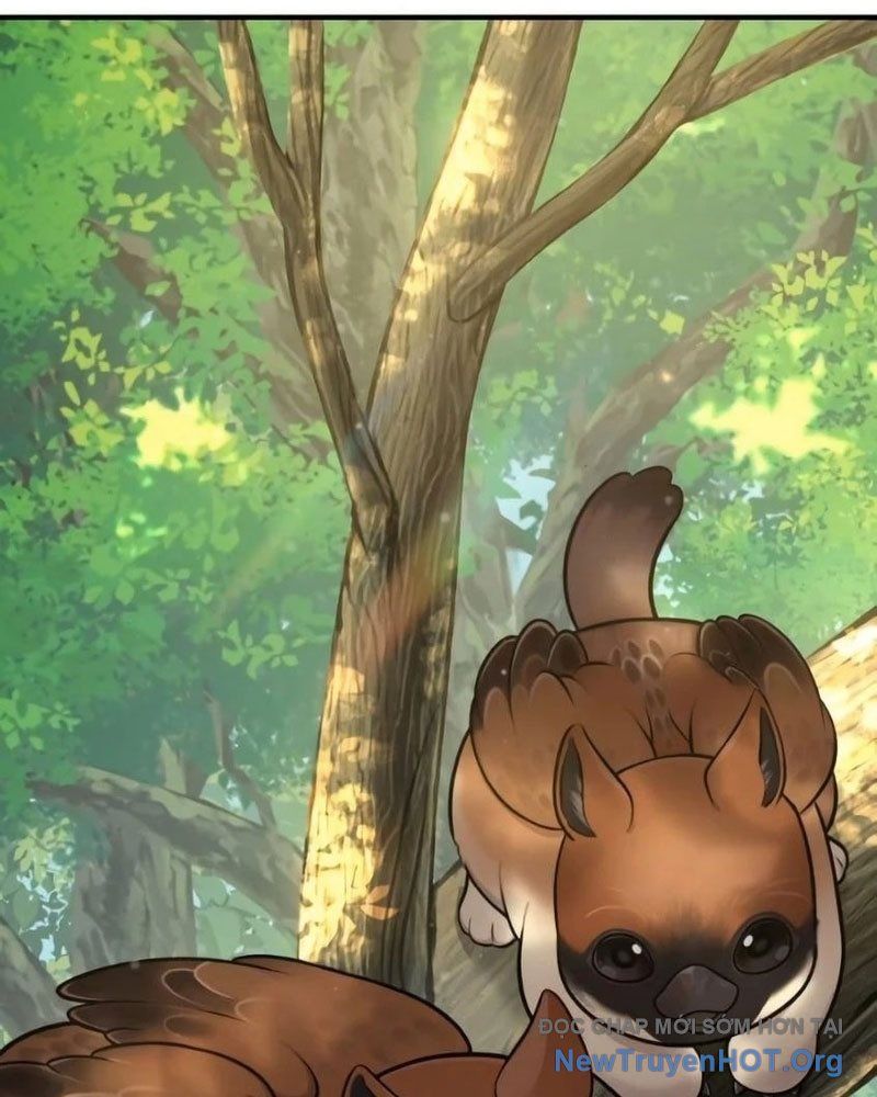 Chào Nhé, Griffin Mắt Tròn! Chap 6 - Next Chap 7
