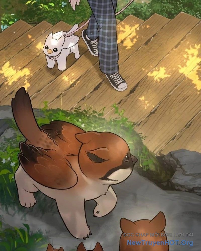 Chào Nhé, Griffin Mắt Tròn! Chap 6 - Next Chap 7