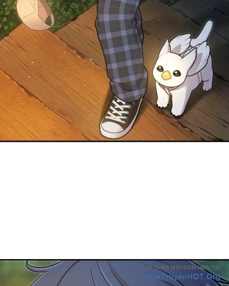 Chào Nhé, Griffin Mắt Tròn! Chap 6 - Next Chap 7