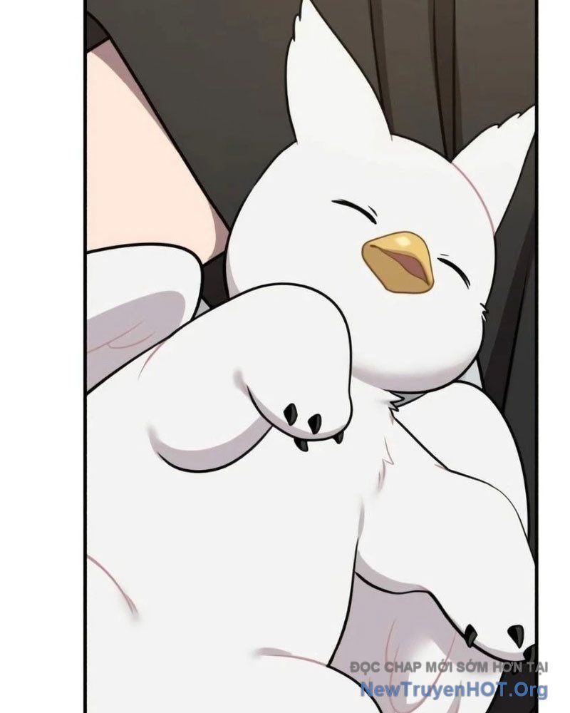 Chào Nhé, Griffin Mắt Tròn! Chap 6 - Next Chap 7