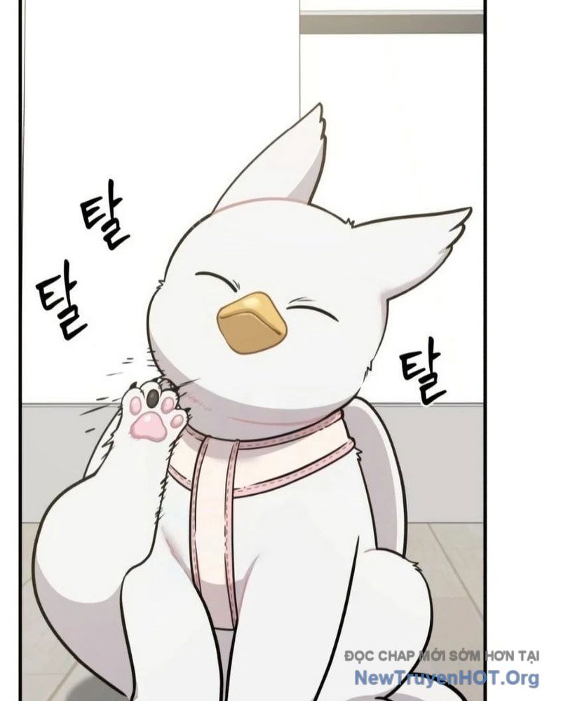 Chào Nhé, Griffin Mắt Tròn! Chap 6 - Next Chap 7