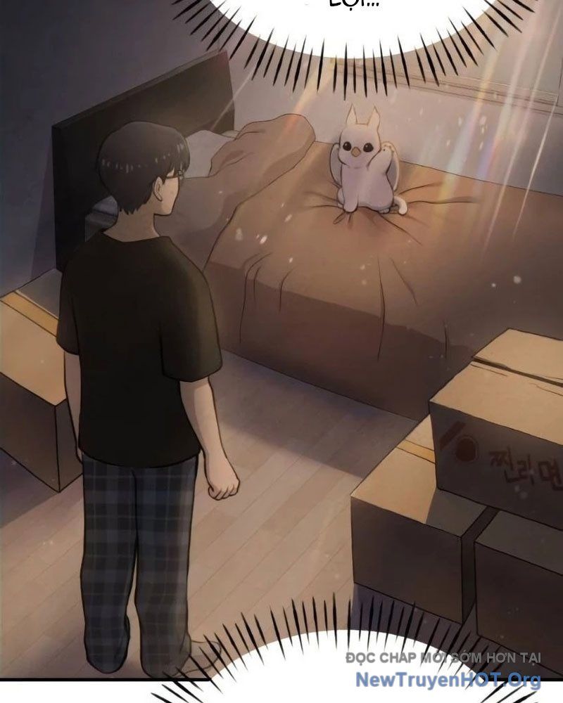 Chào Nhé, Griffin Mắt Tròn! Chap 6 - Next Chap 7