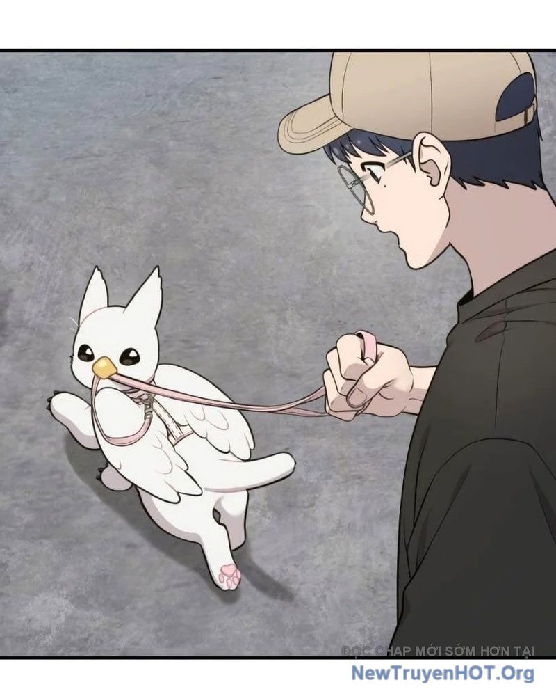 Chào Nhé, Griffin Mắt Tròn! Chap 6 - Next Chap 7