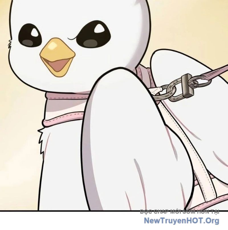 Chào Nhé, Griffin Mắt Tròn! Chap 6 - Next Chap 7