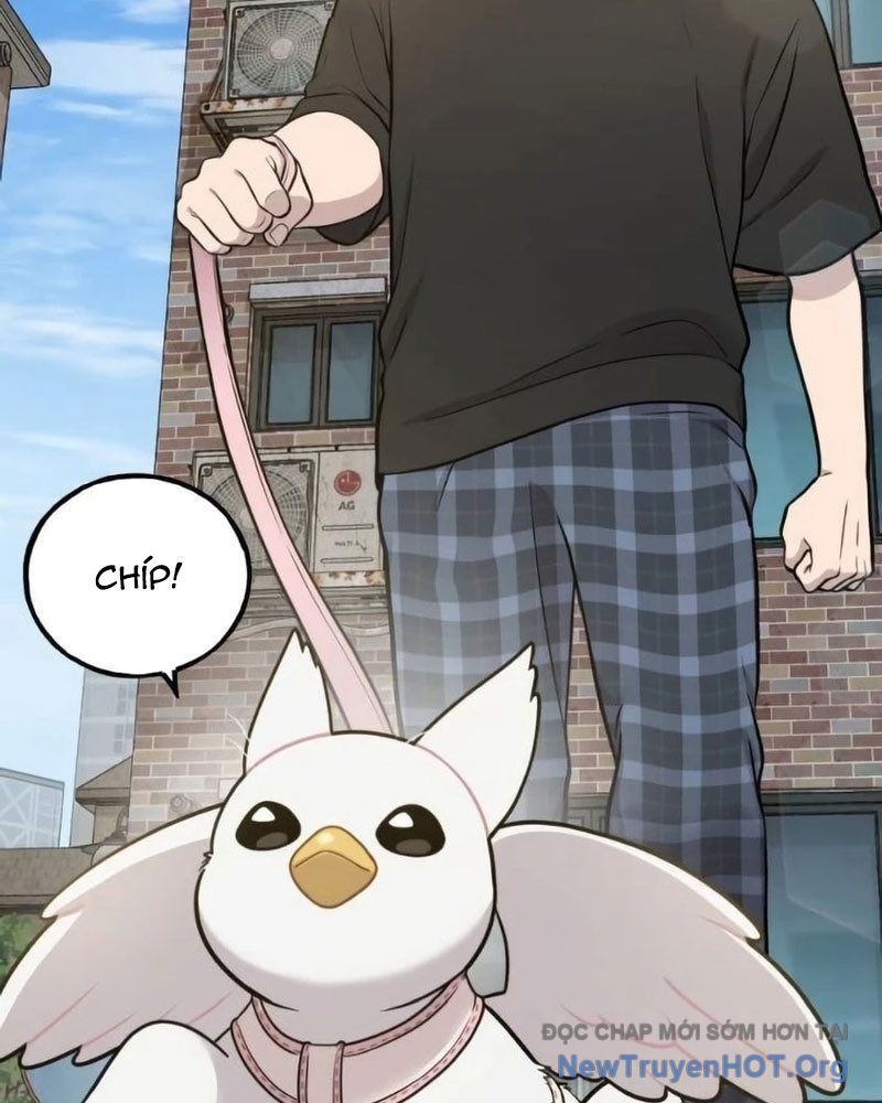 Chào Nhé, Griffin Mắt Tròn! Chap 6 - Next Chap 7