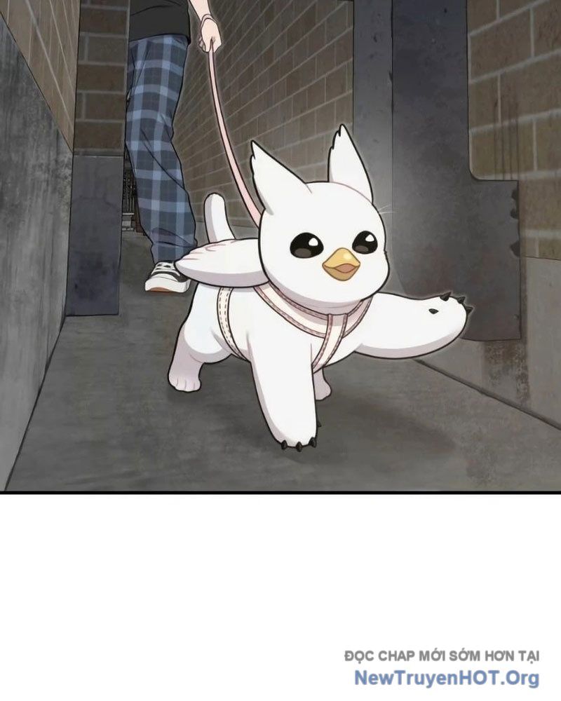 Chào Nhé, Griffin Mắt Tròn! Chap 6 - Next Chap 7