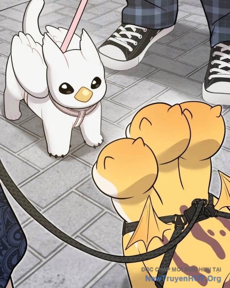 Chào Nhé, Griffin Mắt Tròn! Chap 6 - Next Chap 7