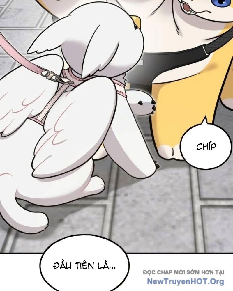 Chào Nhé, Griffin Mắt Tròn! Chap 6 - Next Chap 7