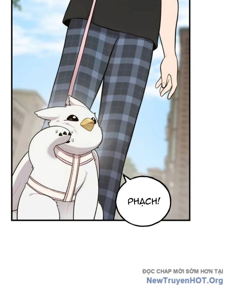 Chào Nhé, Griffin Mắt Tròn! Chap 6 - Next Chap 7