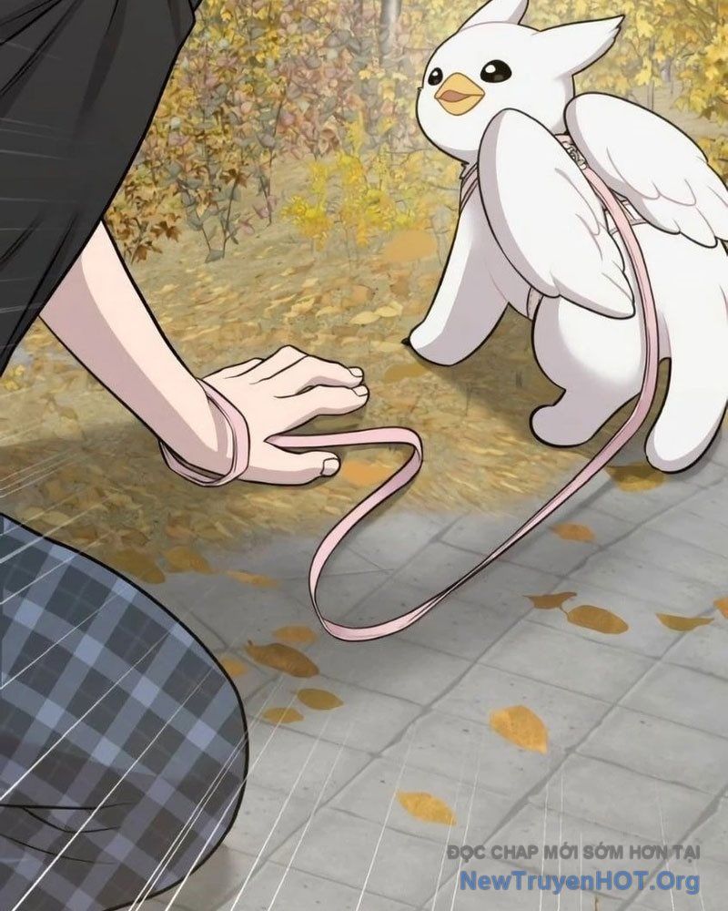 Chào Nhé, Griffin Mắt Tròn! Chap 6 - Next Chap 7