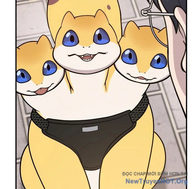 Chào Nhé, Griffin Mắt Tròn! Chap 7 - Next Chap 8