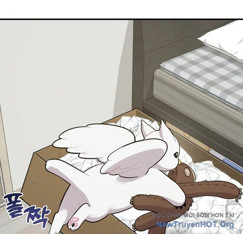 Chào Nhé, Griffin Mắt Tròn! Chap 7 - Next Chap 8