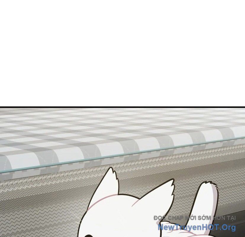 Chào Nhé, Griffin Mắt Tròn! Chap 7 - Next Chap 8