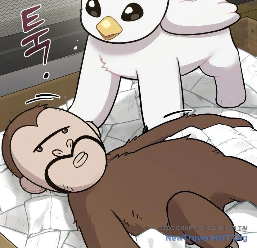 Chào Nhé, Griffin Mắt Tròn! Chap 7 - Next Chap 8