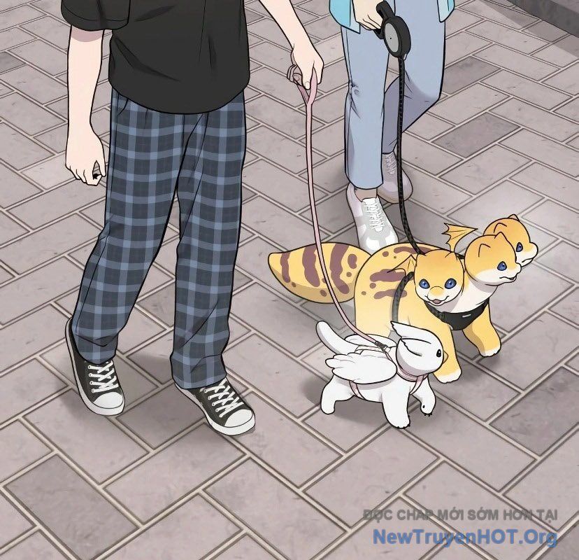 Chào Nhé, Griffin Mắt Tròn! Chap 7 - Next Chap 8