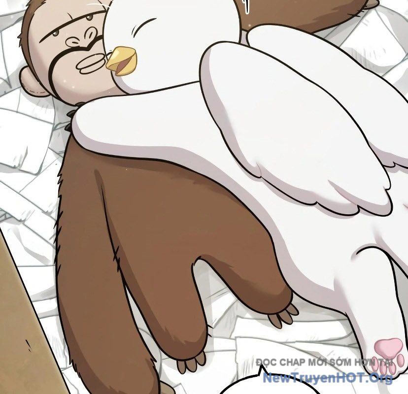 Chào Nhé, Griffin Mắt Tròn! Chap 7 - Next Chap 8