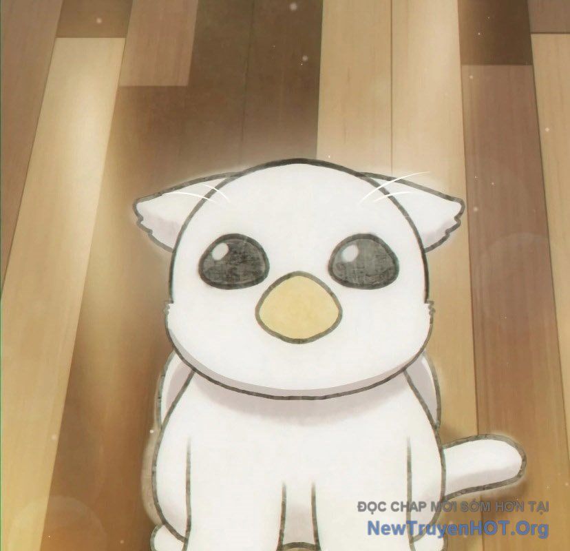 Chào Nhé, Griffin Mắt Tròn! Chap 7 - Next Chap 8