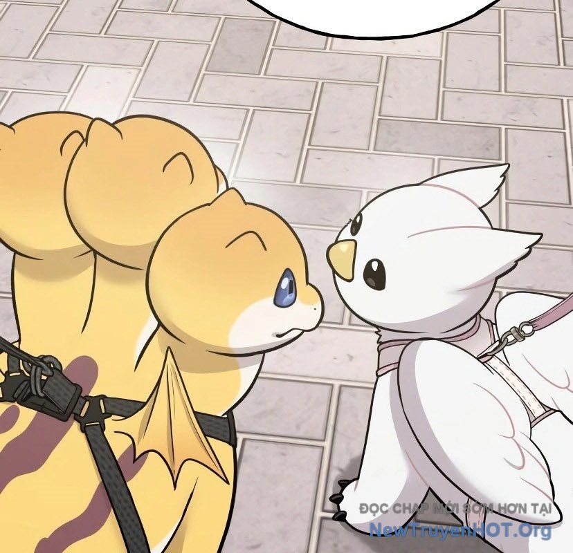 Chào Nhé, Griffin Mắt Tròn! Chap 7 - Next Chap 8