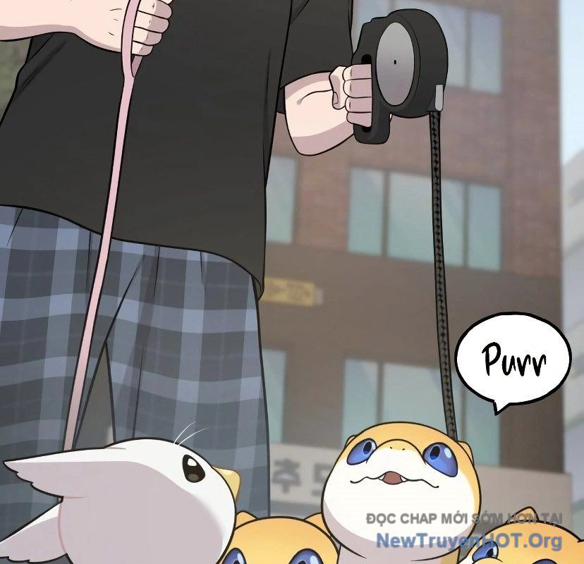 Chào Nhé, Griffin Mắt Tròn! Chap 7 - Next Chap 8