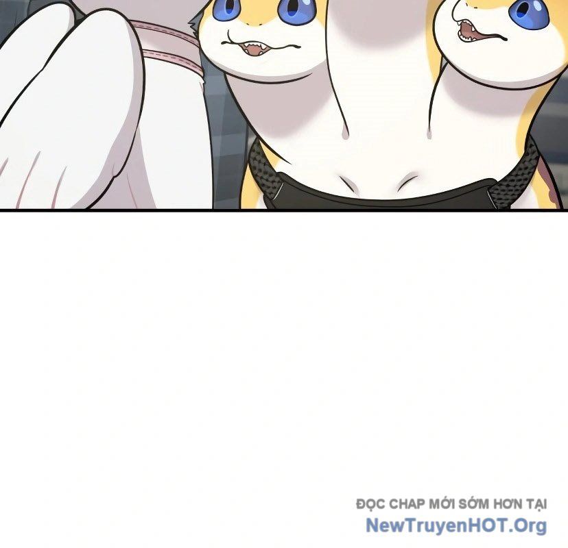 Chào Nhé, Griffin Mắt Tròn! Chap 7 - Next Chap 8