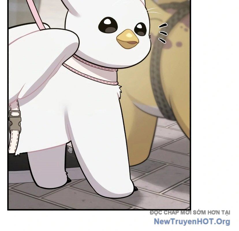 Chào Nhé, Griffin Mắt Tròn! Chap 7 - Next Chap 8