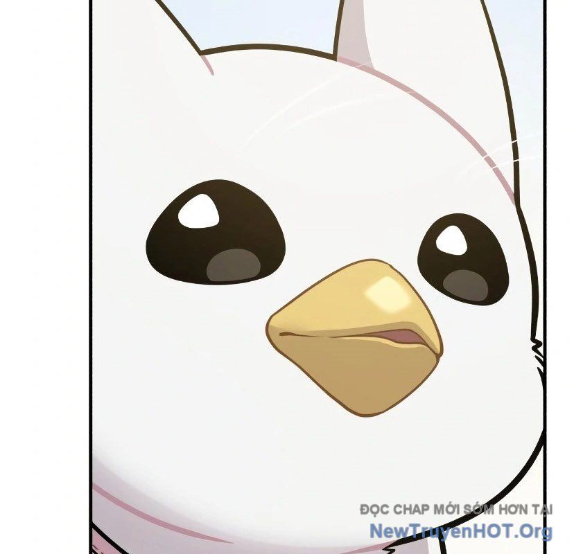 Chào Nhé, Griffin Mắt Tròn! Chap 7 - Next Chap 8