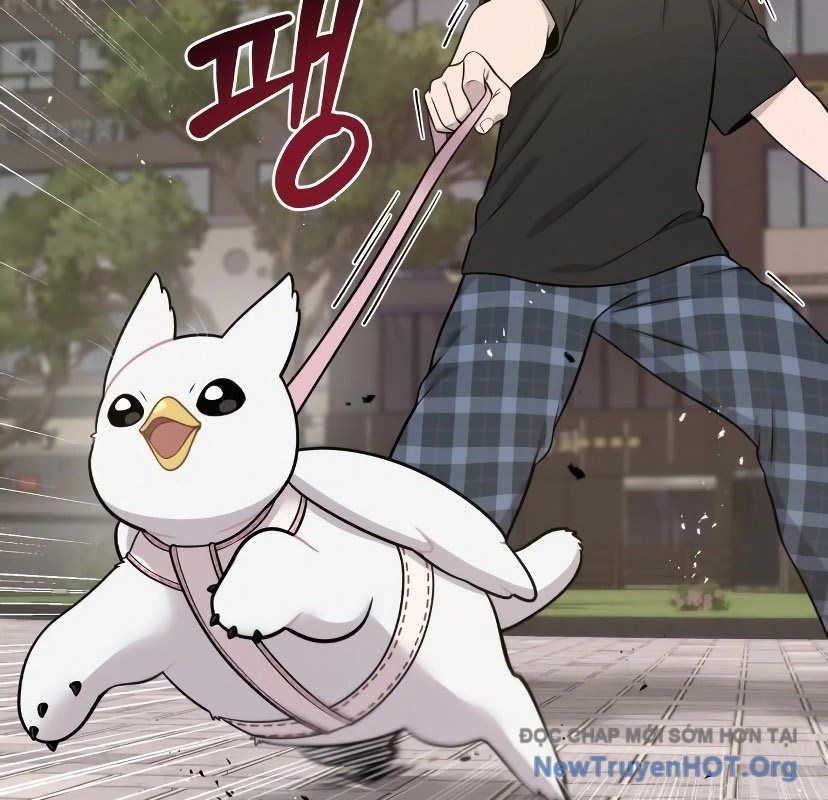 Chào Nhé, Griffin Mắt Tròn! Chap 7 - Next Chap 8