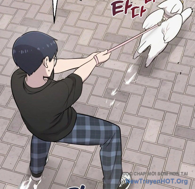 Chào Nhé, Griffin Mắt Tròn! Chap 7 - Next Chap 8