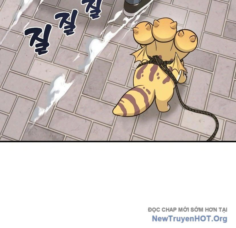 Chào Nhé, Griffin Mắt Tròn! Chap 7 - Next Chap 8