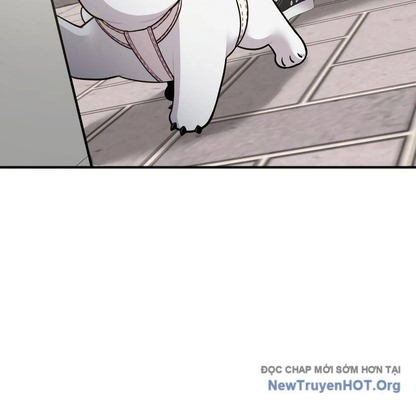 Chào Nhé, Griffin Mắt Tròn! Chap 7 - Next Chap 8