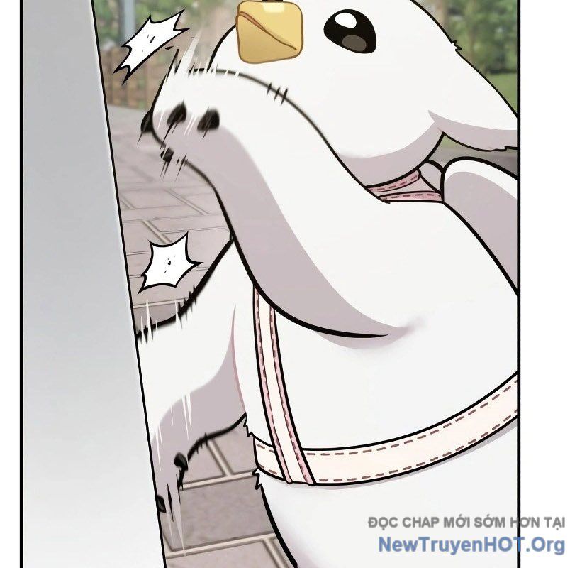 Chào Nhé, Griffin Mắt Tròn! Chap 7 - Next Chap 8