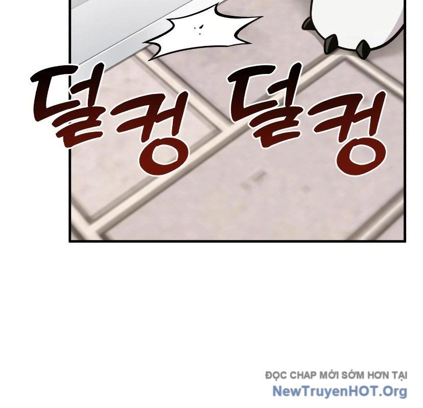Chào Nhé, Griffin Mắt Tròn! Chap 7 - Next Chap 8