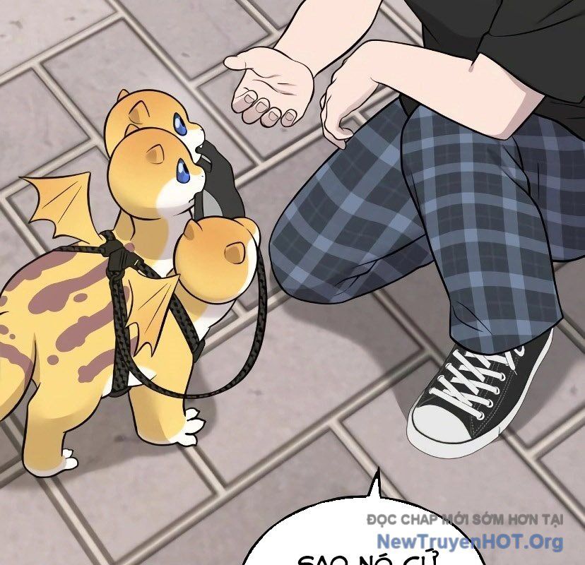 Chào Nhé, Griffin Mắt Tròn! Chap 7 - Next Chap 8