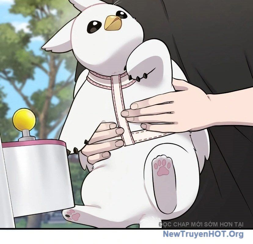 Chào Nhé, Griffin Mắt Tròn! Chap 7 - Next Chap 8