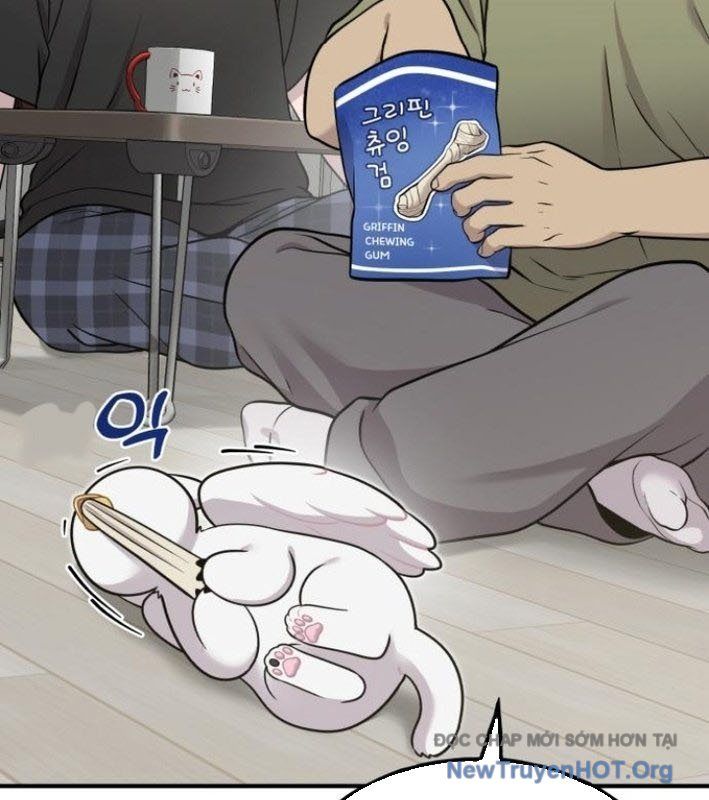 Chào Nhé, Griffin Mắt Tròn! Chap 8 - Next Chap 9