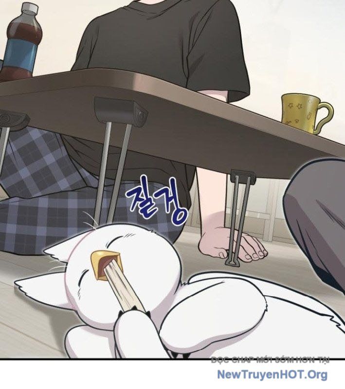 Chào Nhé, Griffin Mắt Tròn! Chap 8 - Next Chap 9