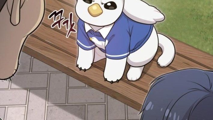 Chào Nhé, Griffin Mắt Tròn! Chap 8 - Next Chap 9
