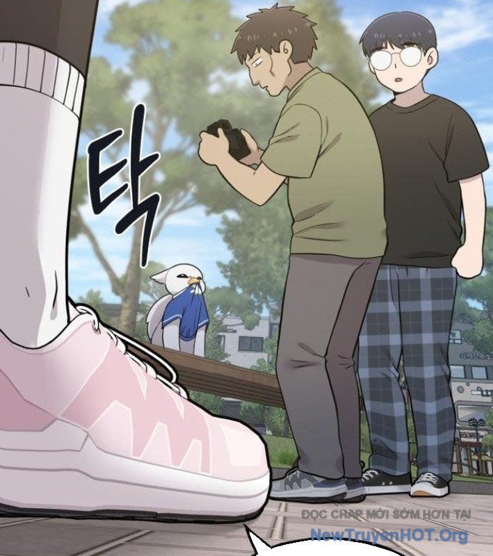Chào Nhé, Griffin Mắt Tròn! Chap 8 - Next Chap 9