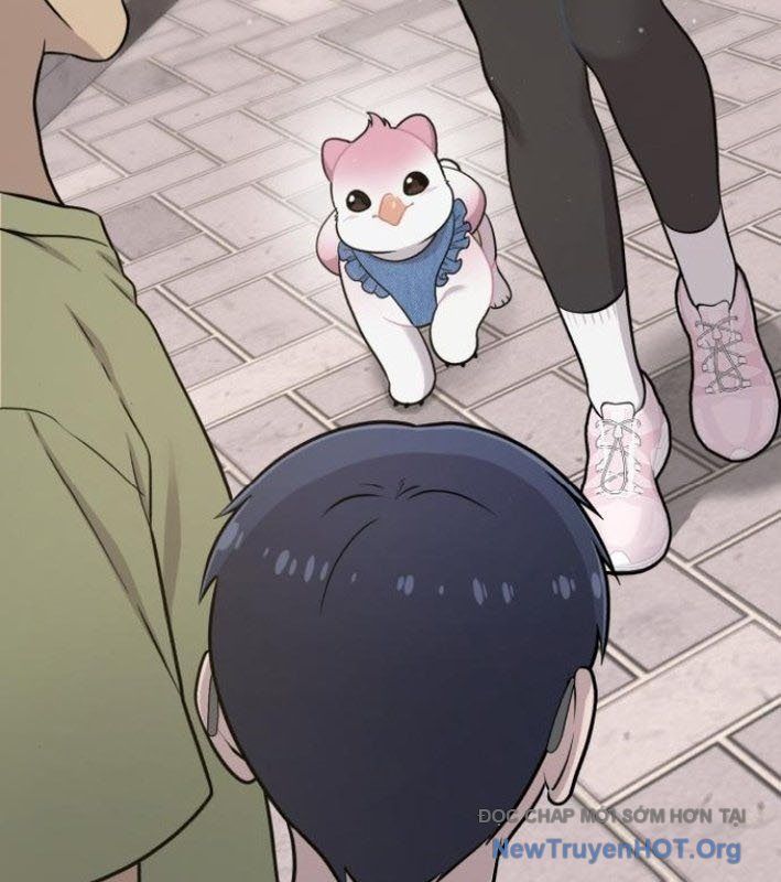 Chào Nhé, Griffin Mắt Tròn! Chap 8 - Next Chap 9