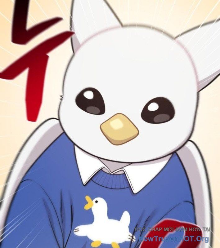 Chào Nhé, Griffin Mắt Tròn! Chap 8 - Next Chap 9