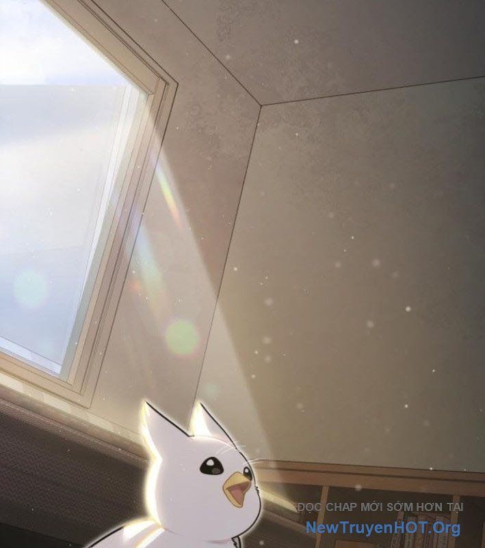 Chào Nhé, Griffin Mắt Tròn! Chap 8 - Next Chap 9